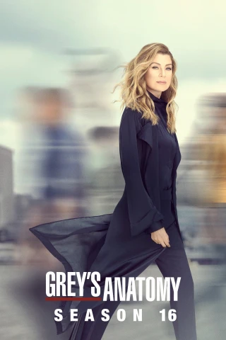 Ca Phẫu Thuật Của Grey (Phần 16) (Grey's Anatomy (Season 16)) [2020]