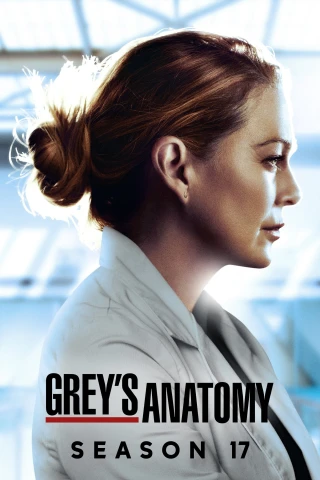 Ca Phẫu Thuật Của Grey (Phần 17) (Grey's Anatomy (Season 17)) [2020]