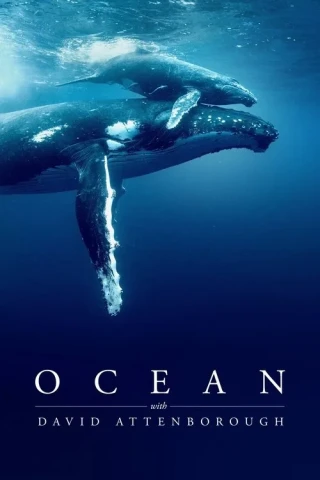 Đại dương cùng David Attenborough (Ocean with David Attenborough) [2025]